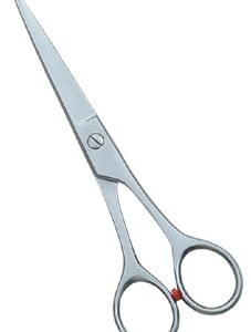 Barber Scissors
