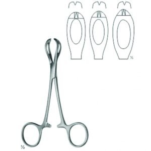 Organ - Tissue Grasping, Intestinal and Dissecting Forceps
