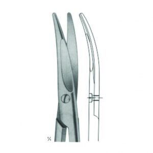 Dissecting Scissors