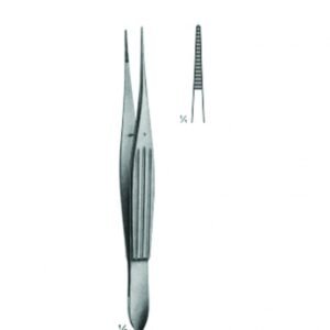 Delicate Dissecting Forceps