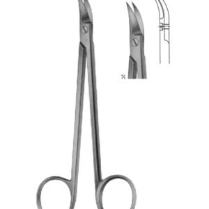 Delicate Scissors
